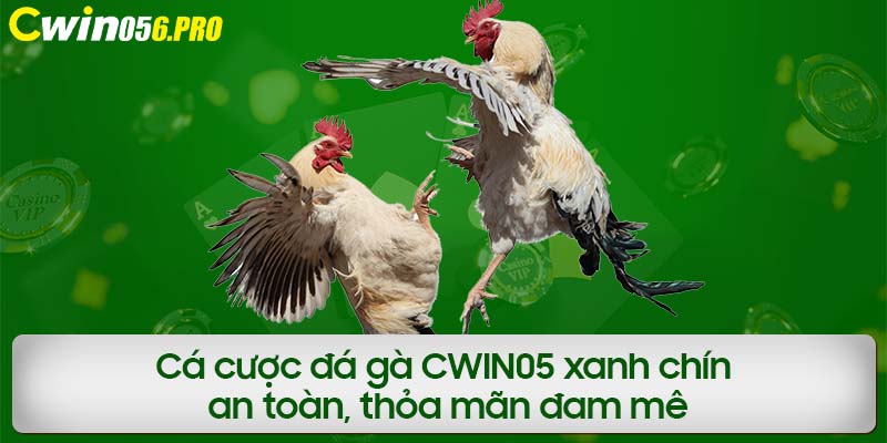 Cá cược đá gà CWIN05 xanh chín, an toàn, thỏa mãn đam mê